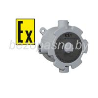 RVi-4TJB-AST01.С-EX