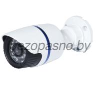 IP видеокамера уличная SF-SN310Y-D1.jpg