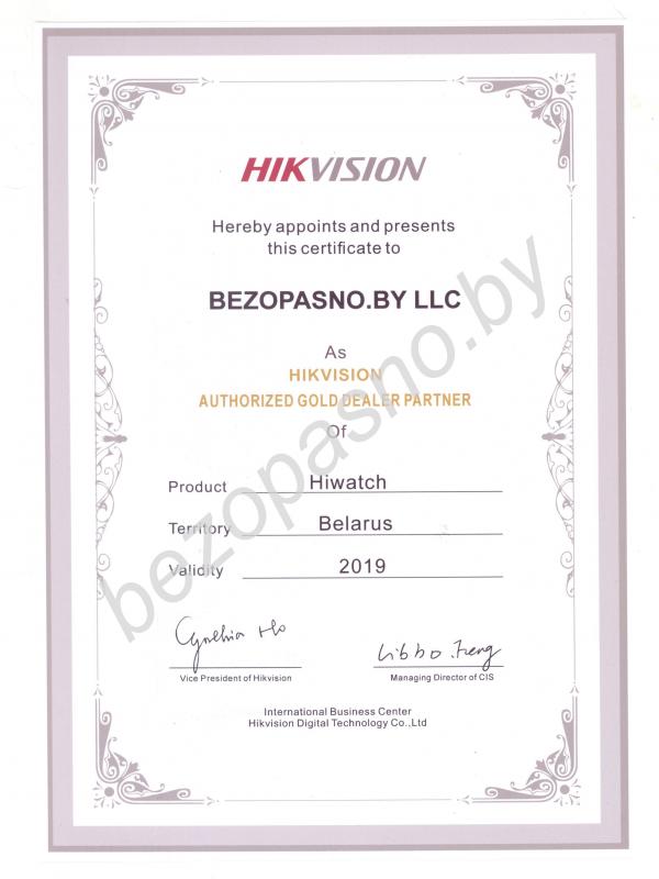 Золотой партнер Hiwatch на территории Республики Беларусь 2019 г.