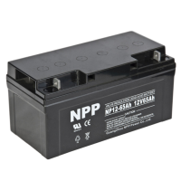 akkumuljator-np-12-65-ah-photo-big[1]