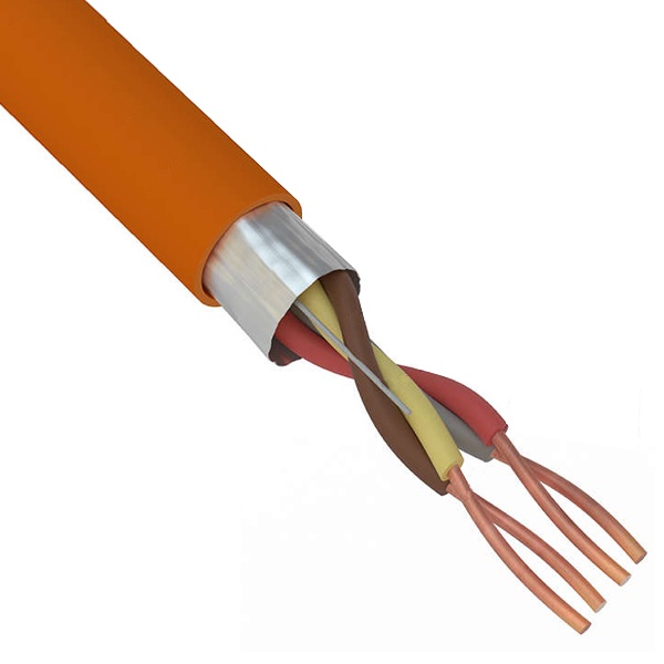 111037_big_1709730739